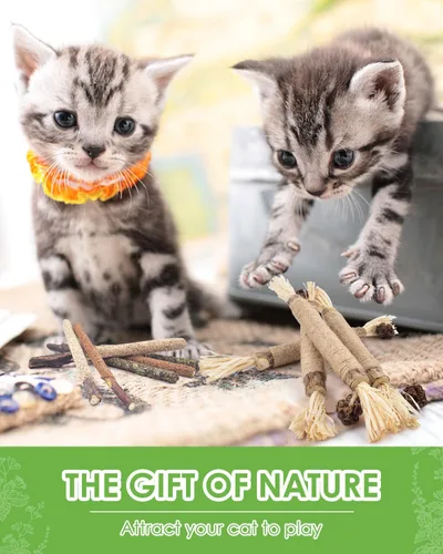 Vista 7 de TINDTOP Silvervine Sticks - Paquete de 10 juguetes naturales masticables de hierba gatera para limpiar los dientes de gatitos, aumentar el apetito