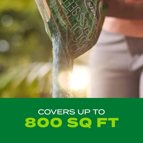 Vista 3 de Scotts Turf Builder Rapid Grass - Mezcla de festuca alta, semillas de hierba con fertilizante para césped completo y verde en solo semanas, 2.4