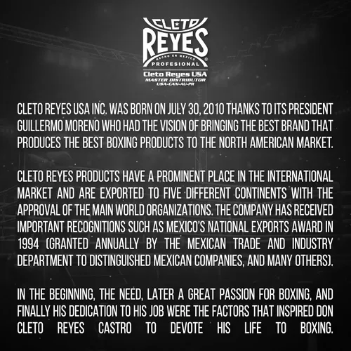 Vista 6 de CLETO REYES Plataforma de cuero de perforación bolsa de velocidad para boxeo, MMA, Muay Thai, equipo de entrenamiento
