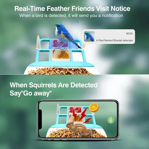 Vista 3 de Comedero inteligente para pájaros con cámara, identificación de especies con inteligencia artificial, casa de pájaros con energía solar, alertas