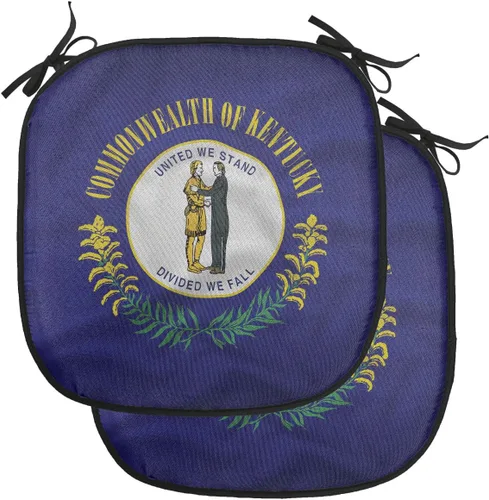 Vista 107 de Lunarable USA Chair Cushion Pad, American Cities Skylines Metropolis Architecture Sketch Style Hand Drawn Art Print, Seat Padding for Kitchen &