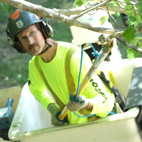 Vista 7 de Jameson FG-6PKG-7 FG-Series Sierra de poste manual y podadora de árboles con dos postes de fibra de vidrio de 6 pies