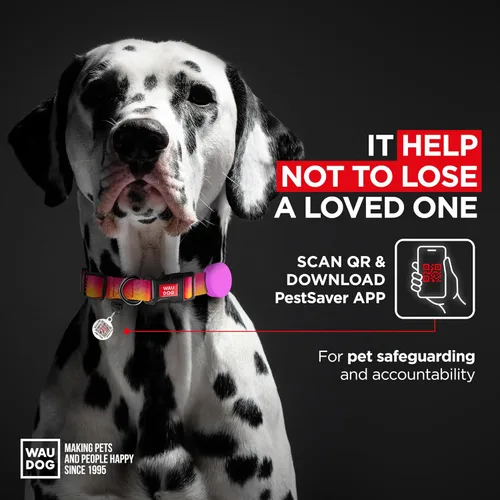 Vista 2 de Collar de nylon para perros con soporte de aire - Ajustable para perros grandes, pequeños y medianos - Collares para cachorros de razas grandes