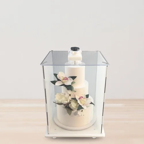 Vista 5 de CAKESAFE Transportador de pasteles Itsy Tall reutilizable, de plástico transparente (12 pulgadas de ancho x 16 pulgadas de alto)