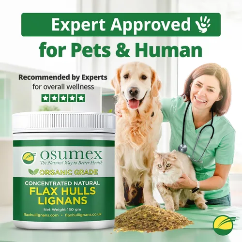 Vista 6 de Polvo de cáscara de semilla de lino 5.29 oz – Semillas de lino orgánicas altas en lignan SDG para la digestión, concentrado natural, conchas