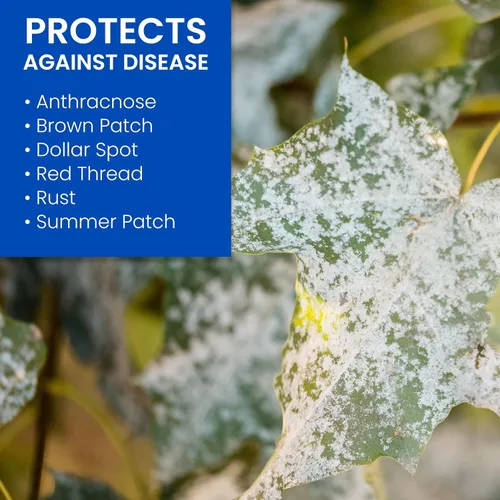 Vista 8 de BioAdvanced Limpiador y asesino de musgos y algas 2 en 1, listo para rociar, 32 onzas con control de hongos BioAdvanced para césped, listo