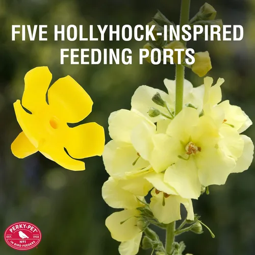 Vista 4 de Perky-Pet 9108-2 Desert Bloom - Comedero para colibríes de vidrio con relleno superior, color verde, capacidad de 32 onzas