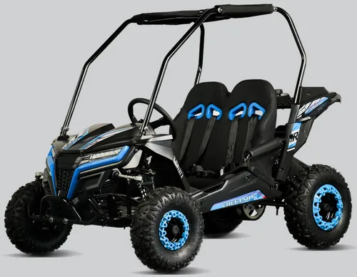 TrailMaster Cheetah 6 Youth Go-Kart - Motor de 163 cc y 5.5 HP, cinturón de seguridad de 4 puntos, matanza remota, gobernador de velocidad, adecuado