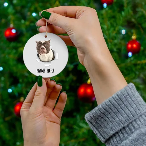 Vista 3 de Personalized Name American Bully Chocolate Fur White Christmas Tree Ornaments Circle Ceramic Decorations Gifts for Dog Lovers Owners