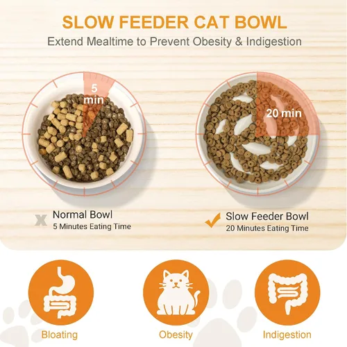 Vista 2 de Cuenco elevado de cerámica para gatos de alimentación lenta, peces, antivómitos, rompecabezas para gatos y perros de tamaño pequeño Verde