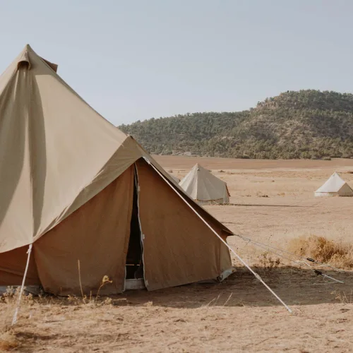 Vista 4 de Paracord 550 lb, cuerda de paracaídas de 7 hebras de 50 pies, 4 mm, de nailon, para camping, verde militar