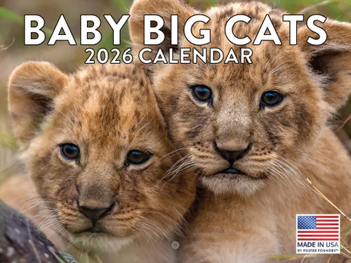 Vista 88 de Calendario alpaca 2026, calendario mensual de pared de 12 meses Hecho en Estados Unidos.