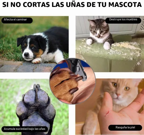 Vista 6 de HAWATOUR Cortauñas para perro, recortadores de uñas clásicos para perros con protector de seguridad para evitar cortes excesivos, hoja afilada