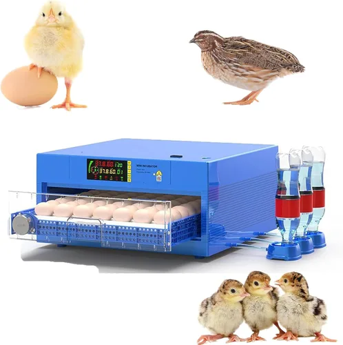 56-392 Egg Incubator with Automatic Egg Turning and Water Filling, Humidity Control Temperature Incubator for Hatching Chicken, Duck, Goose and Bird