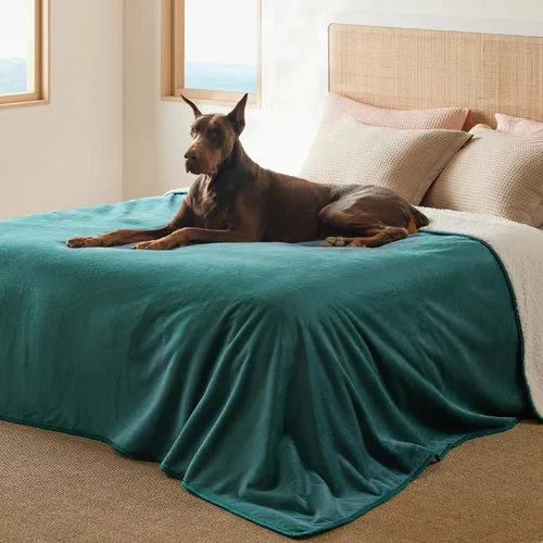 Vista 29 de Bedsure - Mantas impermeables para perros pequeños - Manta de felpa de sherpa con impresión suave lavable para perros y gatos, protector de muebles