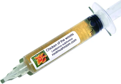 Vista 5 de Root Mushroom Farm - Cultivos líquidos de hongos/Portobello (agaricus bisporus)