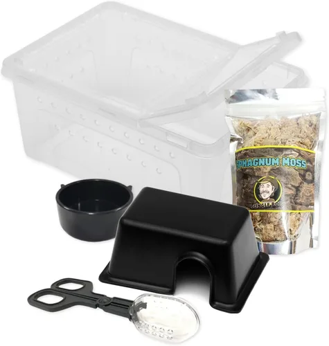 Vista 5 de Jungle Bob - Caja de terrario de reptiles de plástico transparente - Fácil transporte de mascotas - Caja para hierbas pequeñas - Ventilación lateral