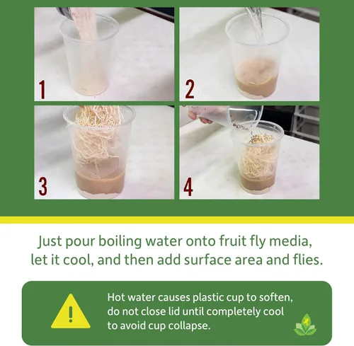 Vista 2 de Josh's Frogs Taza de insectos de 32oz y tapa de tela