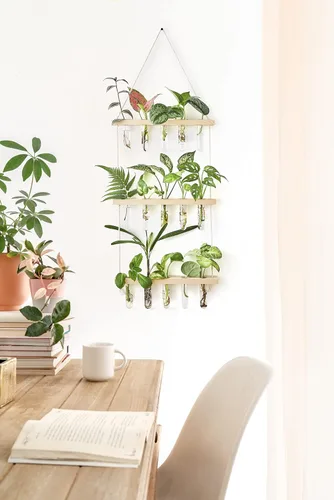 Vista 2 de Mkono Terrario para colgar en la pared de 3 niveles con soporte de madera, maceta de vidrio para corte de plantas hidropónicas, decoración