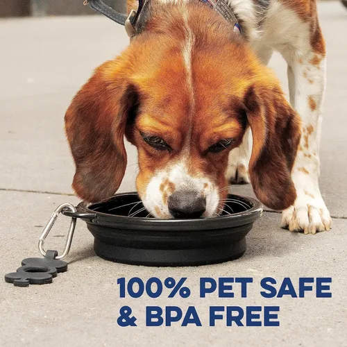 Vista 8 de Bonza Cuencos plegables para perros, paquete de 2, pequeños de 12 onzas, accesorios de viaje para perros, cuenco portátil de silicona para perros
