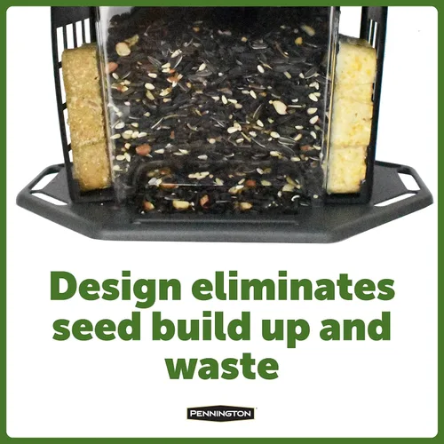 Vista 6 de Pennington Earth Smart EcoBistro - Comedero para pájaros, color gris, 5 libras