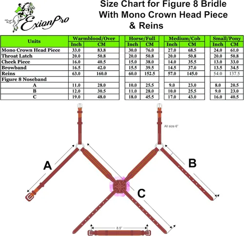Vista 3 de Exion Jumping Horse Bridle - Figura 8 cosida de diseñador con varillas de goma y hebillas SS