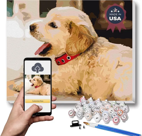 Texture of Dreams Kit de pintura personalizada por números para adultos, pintura acrílica, pintura al óleo sobre lienzo enmarcado y estirado,