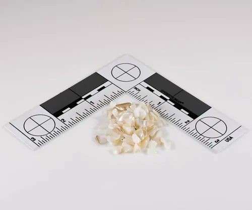 Madre perla pura y natural de World of Wood- Piedra de incrustación triturada perfecta para incrustaciones de madera, joyas, arte y más