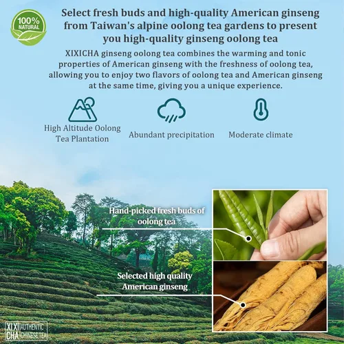 Vista 2 de XIXICHA Té de ginseng Oolong Té de hoja suelta Taiwán Ginseng Té Ren Shen Gaoshan Ulong Té de alta montaña Oolong Natural suave y dulce sabor