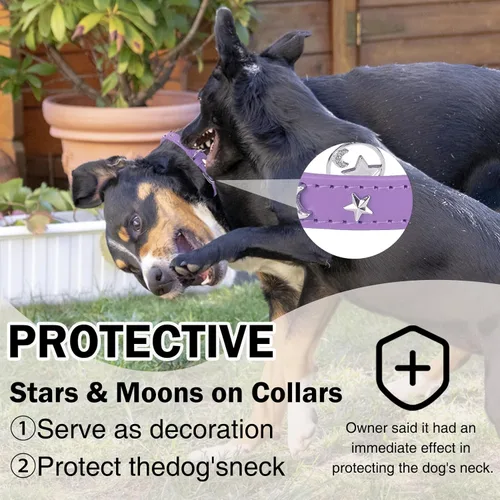 Vista 2 de Collar de cuero para perros pequeños y medianos, collar ajustable con remache de estrella y luna con hebilla de metal inoxidable y dijes, collares