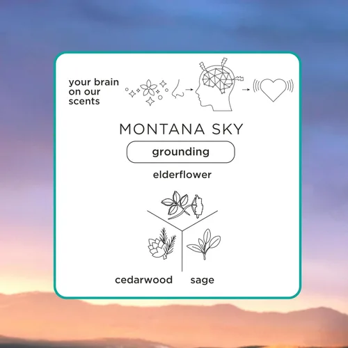 Vista 39 de Pacifica Beauty, Wanderlust - Juego de prueba de perfume en aerosol, vainilla isla, 5 aromas, juego de regalo de muestra de fragancia, aceites