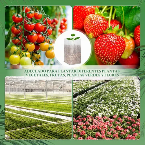 Vista 4 de 1000 bolsas de cultivo no tejidas para plantas de semillero, 5.9 x