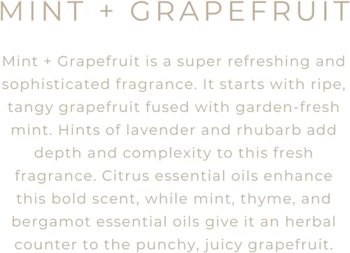 Vista 2 de River Birch Candles - Vela perfumada de menta y pomelo, velas de soja de primera calidad, totalmente naturales, no tóxicas, 16 onzas, 90 horas