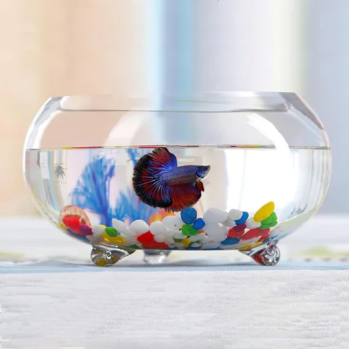 Tanque de peces de vidrio de 2 galones, resistente y agradable pecera Betta, pequeños acuarios para pequeños peces ornamentales y reptiles, vidrio