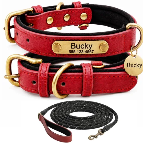 Vista 19 de Collar de cuero para perro personalizado y juego de correa, personalizado con diseño acolchado suave y resistente con placa de nombre grabada