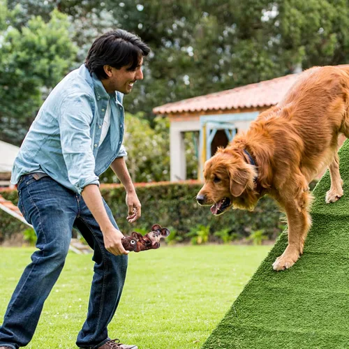 Vista 8 de ASIDE Juguetes para perros para masticadores agresivos, juguetes masticables para perros grandes, juguetes resistentes para perros, juguetes