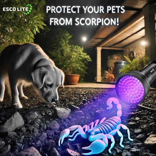 Vista 5 de ESCO LITE Linternas UV de luz negra para detección de orina de mascotas, 51 LED, linterna de luz negra para manchas de perros y gatos, linterna