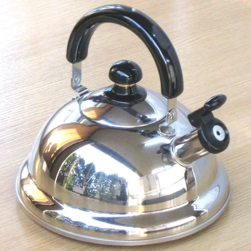 Vista 2 de Quickone Takei Fuefuki - Hervidor de silbato de ahorro de energía, 2,5 L, color plateado