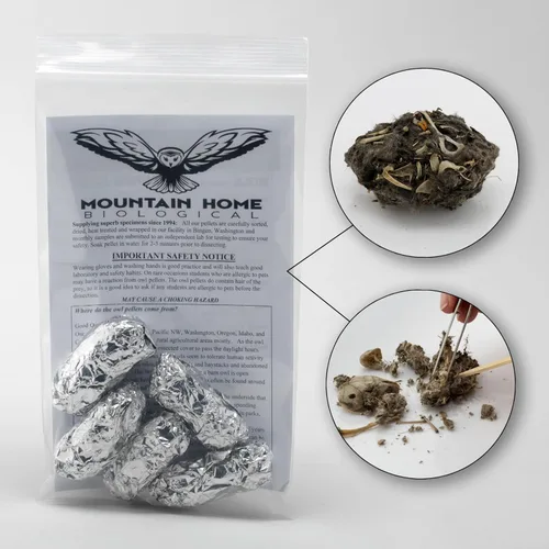 Vista 2 de Pellets de búho jumbo, paquete de 5, con hoja de clasificación de huesos, Inc.