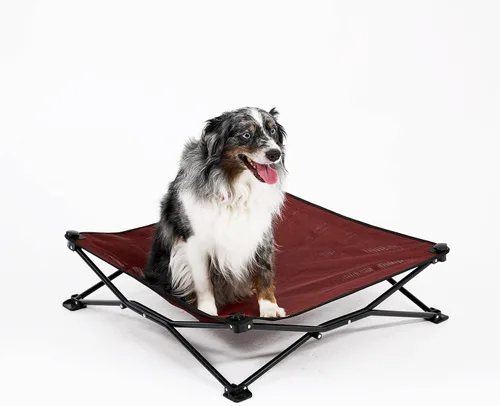 Vista 2 de Coolaroo On-The-Go Cama Elevada para Perros - Cama Plegable Emergente de Viaje para Perros con Tela Transpirable, Resistente a la Humedad, Bolsa