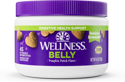 Wellness Pumpkin Patch - Suplementos de salud digestiva suave con sabor a parche para perros, 45 unidades