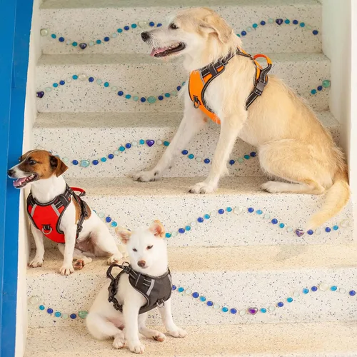 Vista 7 de Arnés para perro sin tirones, arnés reflectante para pasear para perro con asa de fácil control y clips delanteros y traseros, arnés de chaleco