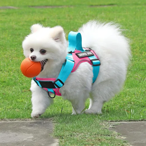 Vista 116 de Demigreat Arnés de perro de servicio, arnés reflectante para perro con 5 parches, arnés Oxford suave ajustable para mascotas, malla de capa