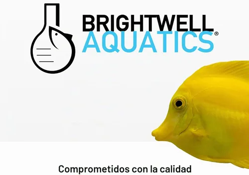 Vista 7 de Brightwell Aquatics Magnesio iónico para acuarios de arrecife, 8.5 fl oz