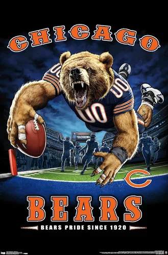 Vista 9 de Trends International NFL Chicago Bears - Póster de pared de End Zone 17, 14.725 x 22.375 pulgadas, versión enmarcada de madera de granero
