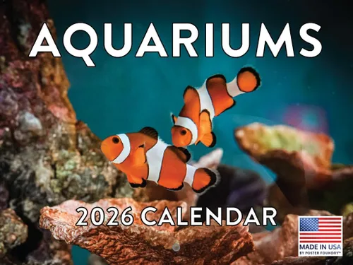 Vista 16 de Calendario de Cocodrilo 2026 Calendario de Pared Mensual 12 Meses Fabricado en Estados Unidos