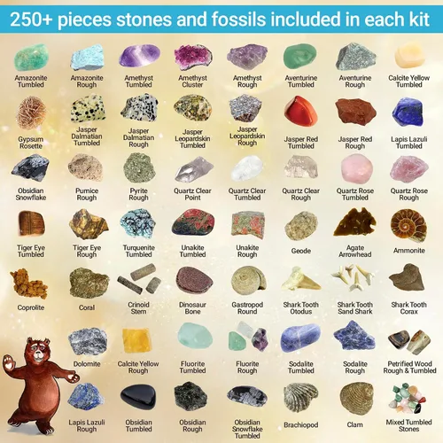 Vista 10 de Set de actividades de la colección Rock & Mineral (más de 150 piezas), hoja de identificación educativa más 2 geodas fáciles de romper, dientes