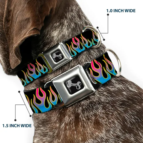 Vista 2 de Buckle-Down Collar de perro con hebilla de cinturón de seguridad, llamas, negro/azul/rosa, 1 pulgada de ancho, se adapta a cuello de 11-17 pulgadas