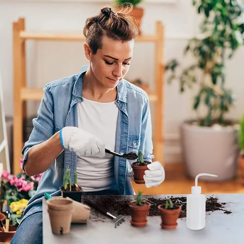 Vista 5 de Succulent Tools, 13 piezas de mini herramientas de jardín, juego de herramientas de trasplante, kit de cuidado de suculentas para plantas