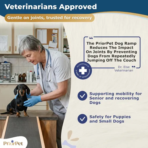 Vista 10 de Rampa para perros para sofá, antideslizante, resistente, plegable, soporta hasta 200 libras, ajustable de 7 a 20 pulgadas, plataforma de aterrizaje